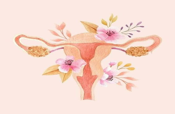 Atendimento Ginecologia Natural